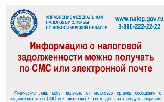 Жителям Новосибирской области рекомендуют проверить налоговую задолженность